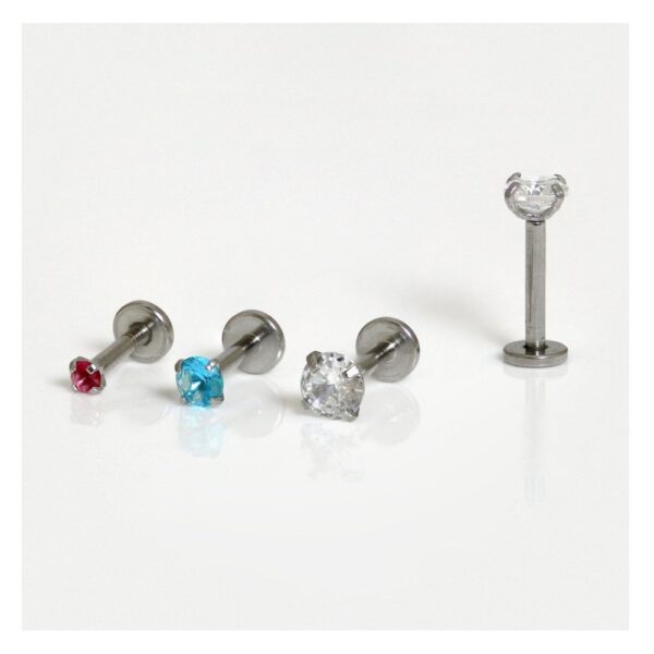 Stainless Steel Claw Set Labret