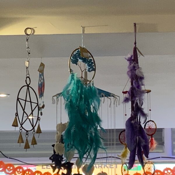 Turquoise Crystal Tree Dreamcatcher with Turquoise Feather