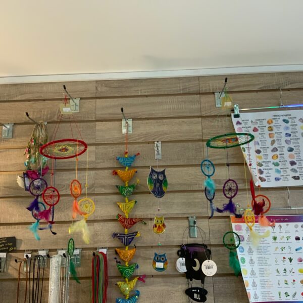 Rainbow Coloured Dream Catcher Gyda Plu