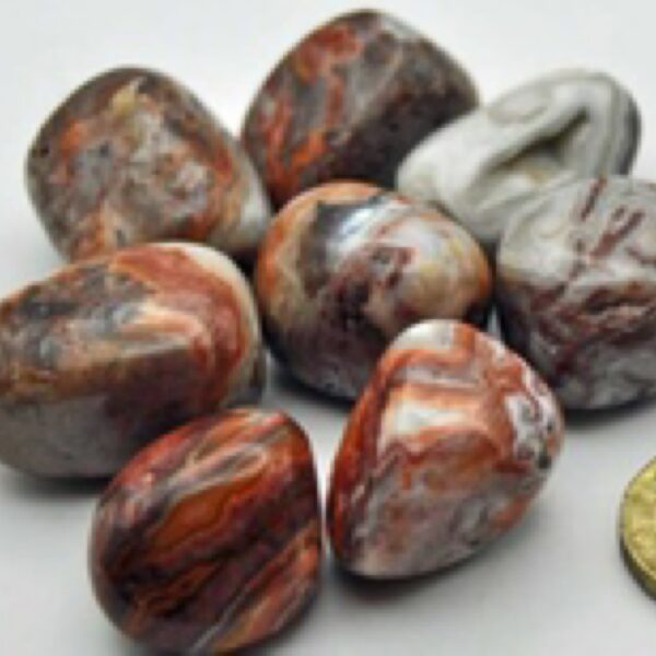 Lacuna lace agate tumblestones