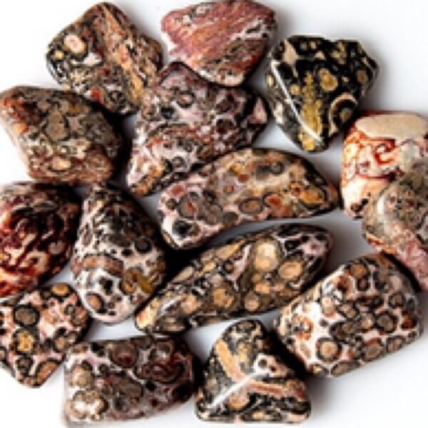 Leopard skin Jasper tumblestones