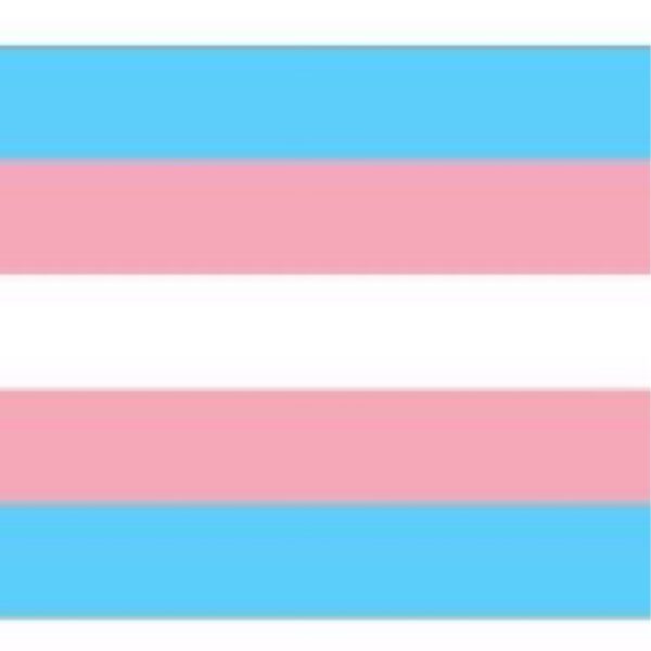 Transgender pride flag