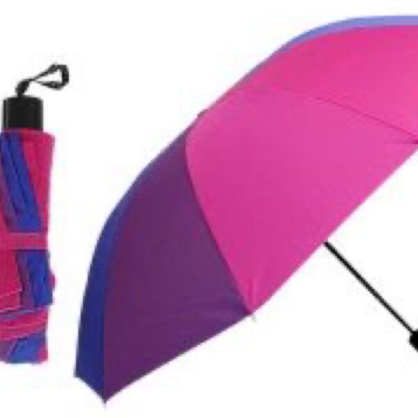 Umbrella- bisexual flag design