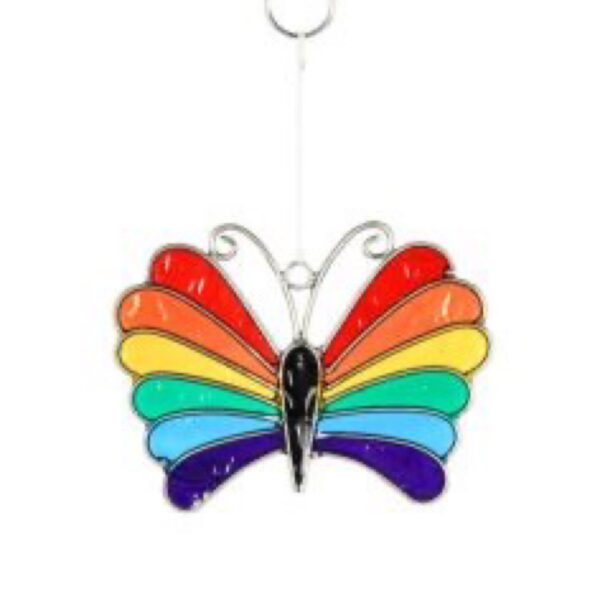 Rainbow pride butterfly sun set her